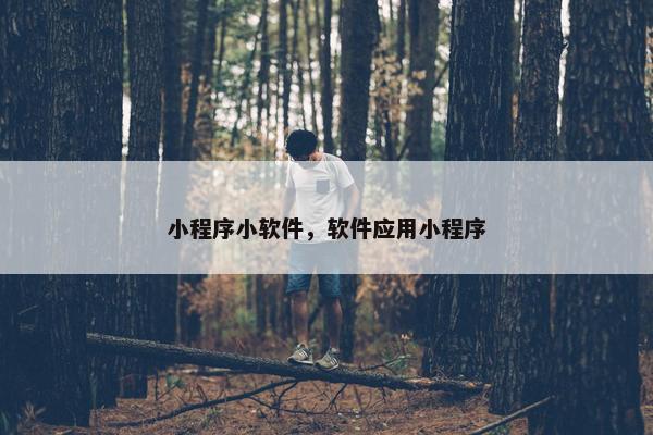 小程序小软件，软件应用小程序