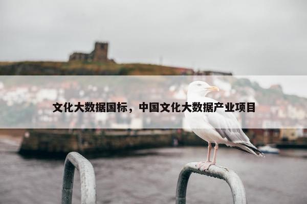 文化大数据国标，中国文化大数据产业项目