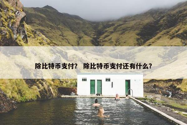 除比特币支付？ 除比特币支付还有什么？