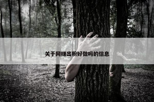 关于网赚出粉好做吗的信息