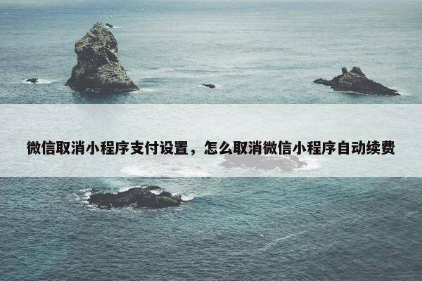 微信取消小程序支付设置，怎么取消微信小程序自动续费
