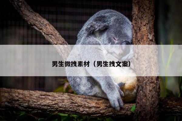 男生微拽素材（男生拽文案）