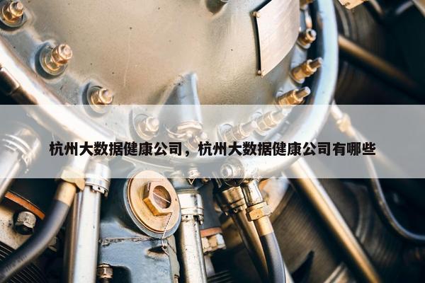 杭州大数据健康公司，杭州大数据健康公司有哪些