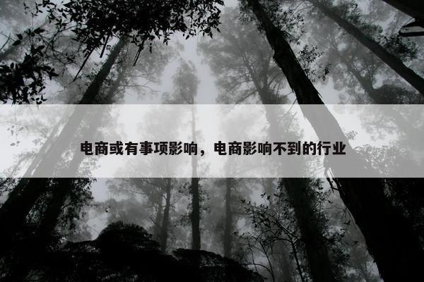 电商或有事项影响，电商影响不到的行业