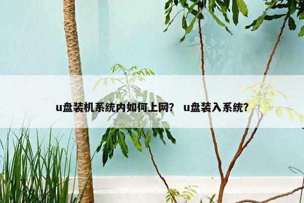u盘装机系统内如何上网？ u盘装入系统？