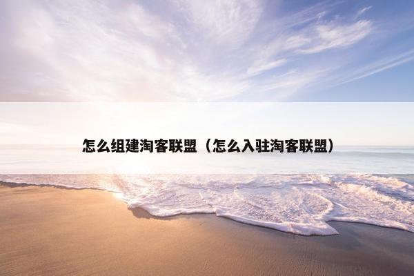 怎么组建淘客联盟（怎么入驻淘客联盟）