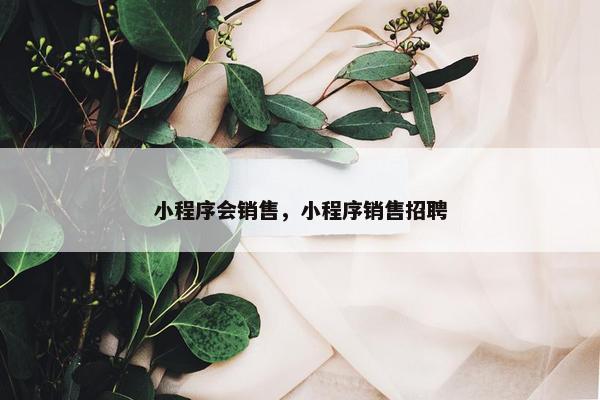 小程序会销售，小程序销售招聘