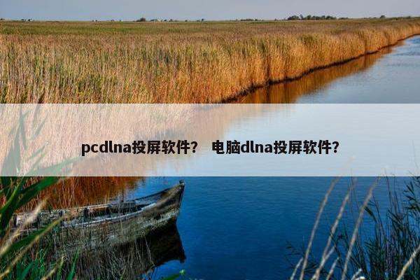 pcdlna投屏软件？ 电脑dlna投屏软件？