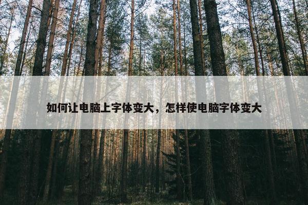 如何让电脑上字体变大，怎样使电脑字体变大