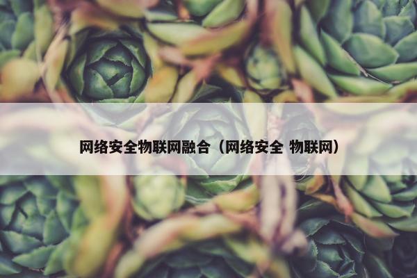 网络安全物联网融合（网络安全 物联网）