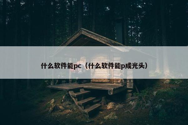 什么软件能pc（什么软件能p成光头）