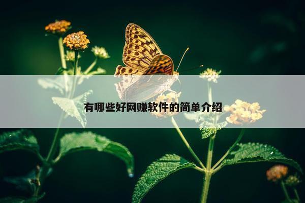 有哪些好网赚软件的简单介绍