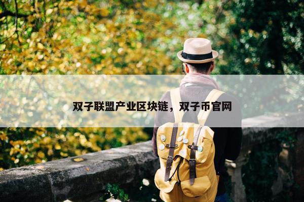 双子联盟产业区块链，双子币官网