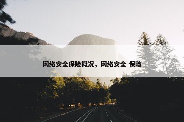 网络安全保险概况，网络安全 保险