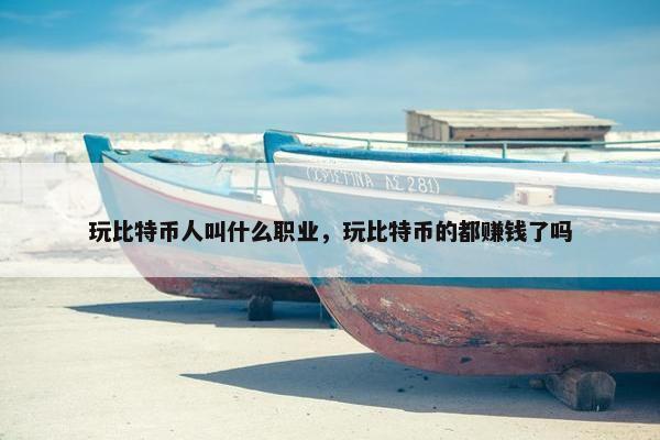 玩比特币人叫什么职业，玩比特币的都赚钱了吗