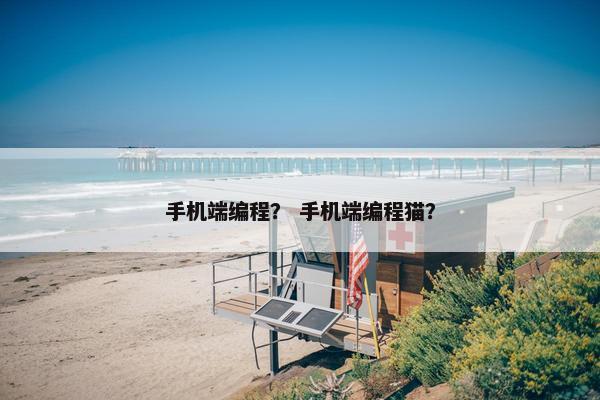 手机端编程？ 手机端编程猫？