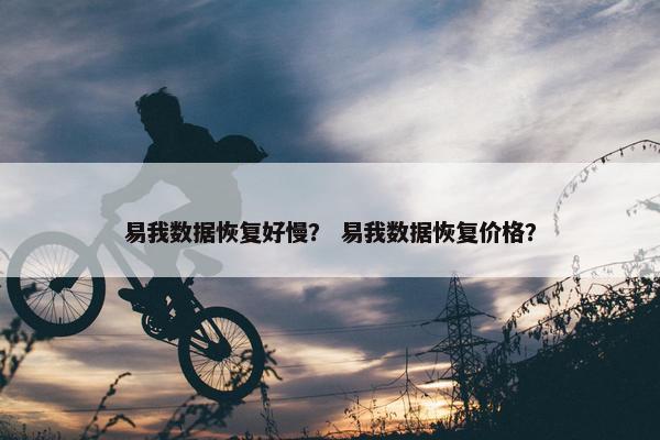 易我数据恢复好慢？ 易我数据恢复价格？