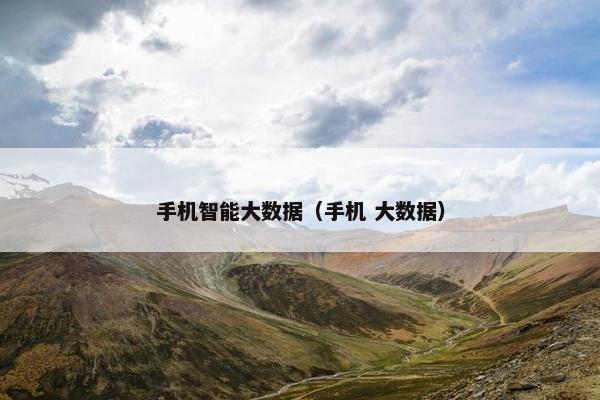 手机智能大数据（手机 大数据）