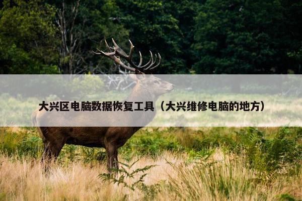 大兴区电脑数据恢复工具（大兴维修电脑的地方）