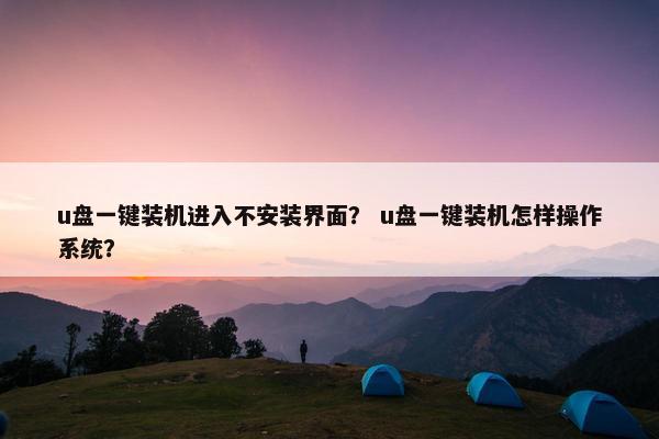 u盘一键装机进入不安装界面？ u盘一键装机怎样操作系统？