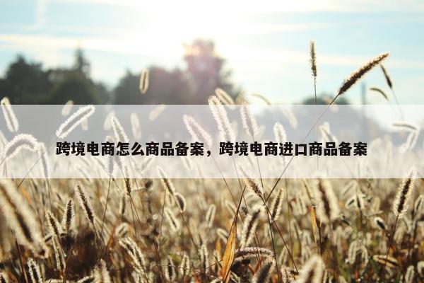 跨境电商怎么商品备案，跨境电商进口商品备案