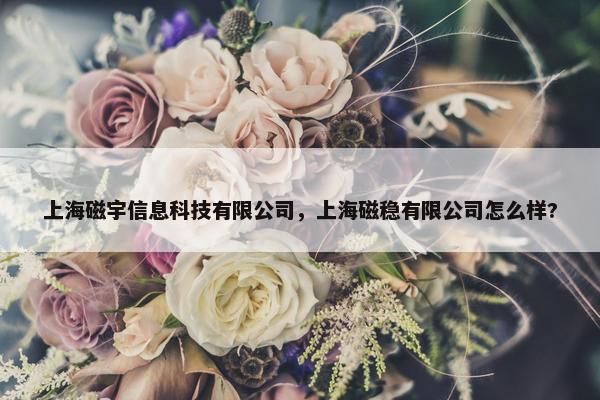 上海磁宇信息科技有限公司，上海磁稳有限公司怎么样?