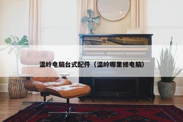 温岭电脑台式配件（温岭哪里修电脑）
