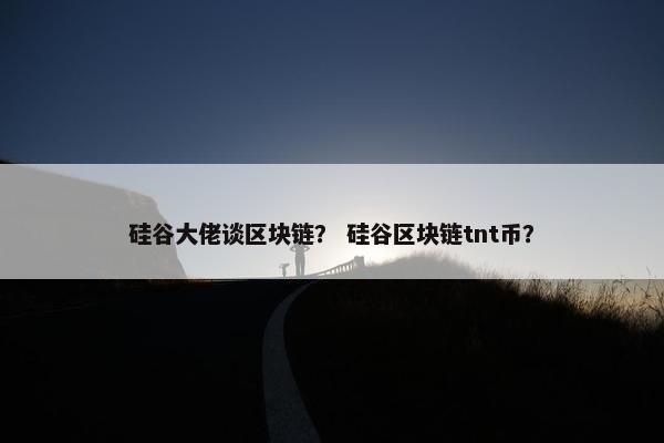 硅谷大佬谈区块链？ 硅谷区块链tnt币？