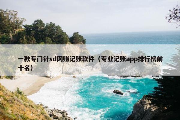 一款专门针sd网赚记账软件（专业记账app排行榜前十名）