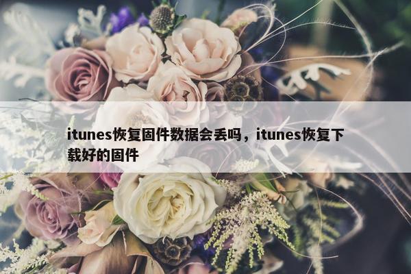 itunes恢复固件数据会丢吗，itunes恢复下载好的固件