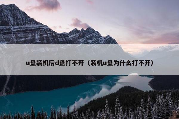 u盘装机后d盘打不开（装机u盘为什么打不开）