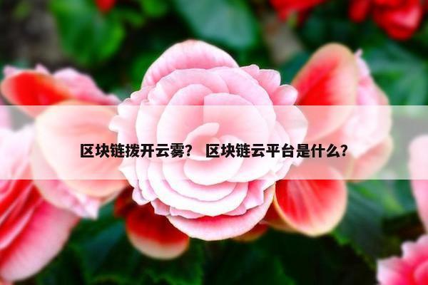 区块链拨开云雾？ 区块链云平台是什么？