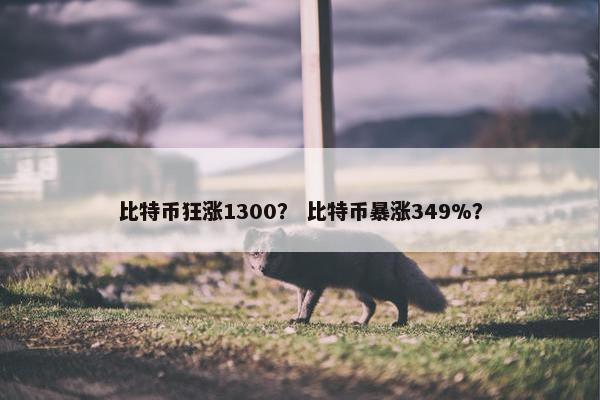 比特币狂涨1300？ 比特币暴涨349%？