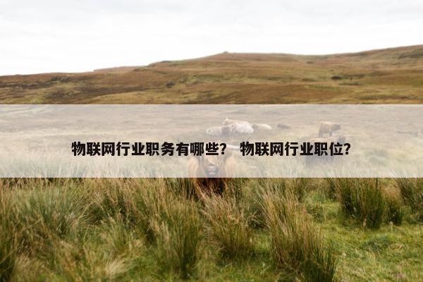物联网行业职务有哪些？ 物联网行业职位？