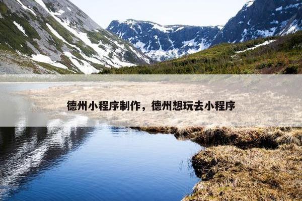 德州小程序制作，德州想玩去小程序