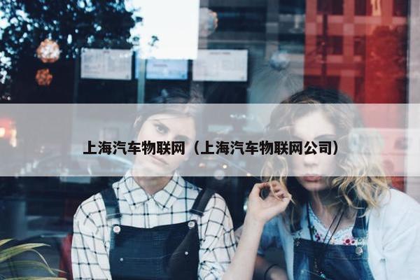 上海汽车物联网（上海汽车物联网公司）