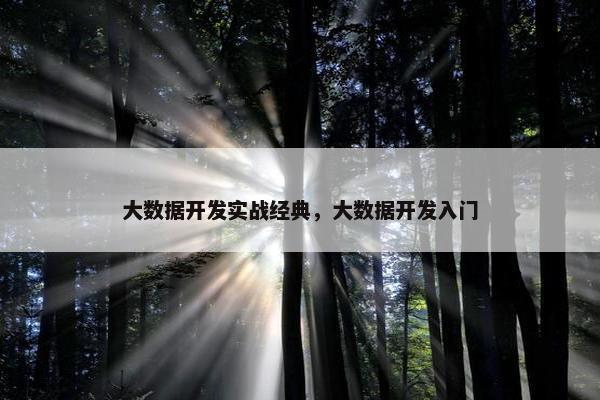 大数据开发实战经典，大数据开发入门