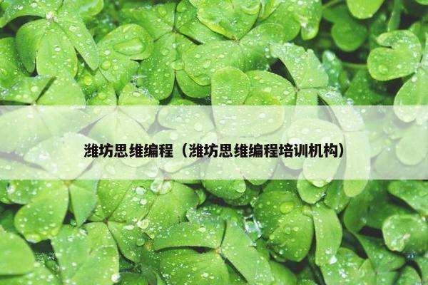 潍坊思维编程（潍坊思维编程培训机构）