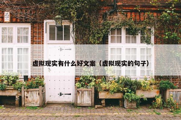 虚拟现实有什么好文案（虚拟现实的句子）