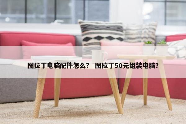 图拉丁电脑配件怎么？ 图拉丁50元组装电脑？