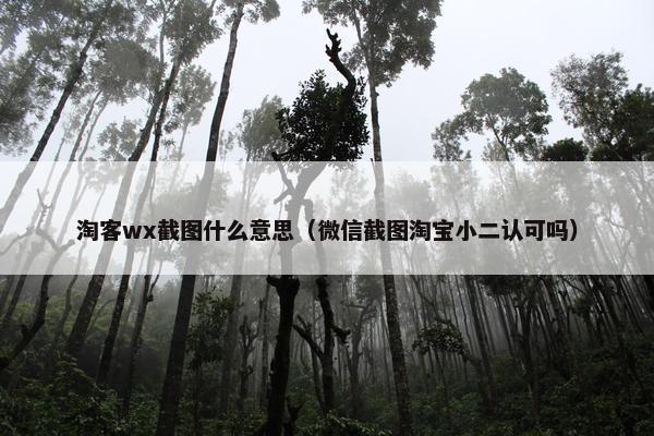 淘客wx截图什么意思（微信截图淘宝小二认可吗）
