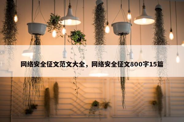 网络安全征文范文大全，网络安全征文800字15篇
