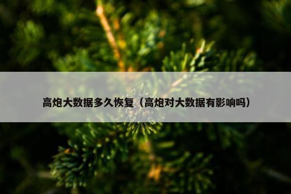 高炮大数据多久恢复（高炮对大数据有影响吗）