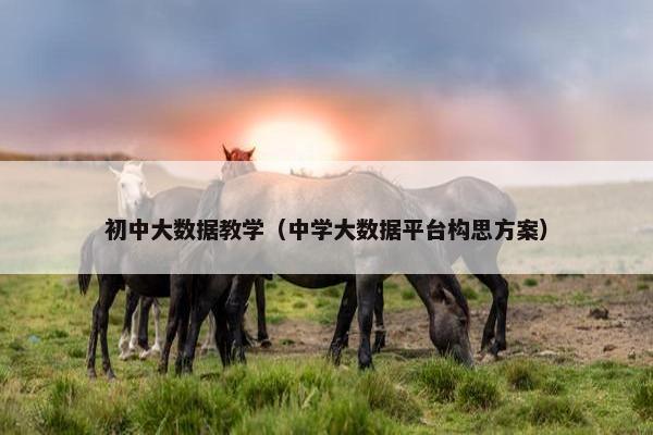 初中大数据教学（中学大数据平台构思方案）