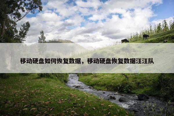 移动硬盘如何恢复数据，移动硬盘恢复数据汪汪队