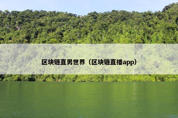 区块链直男世界（区块链直播app）