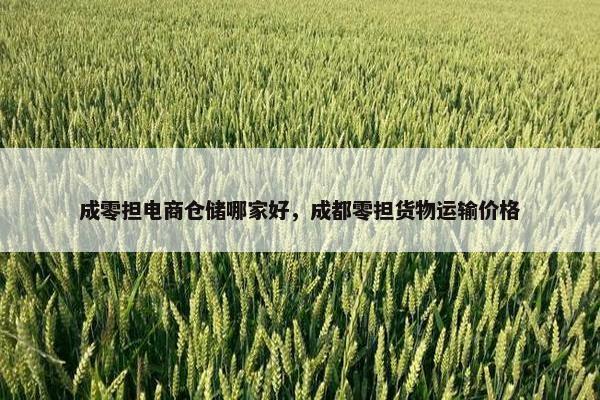 成零担电商仓储哪家好，成都零担货物运输价格