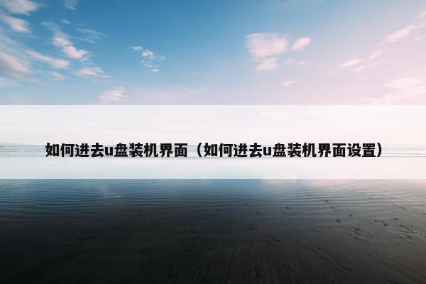 如何进去u盘装机界面（如何进去u盘装机界面设置）
