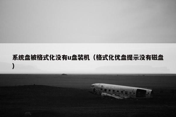 系统盘被格式化没有u盘装机（格式化优盘提示没有磁盘）