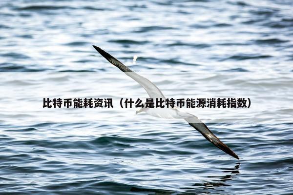 比特币能耗资讯（什么是比特币能源消耗指数）